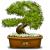 biologiaygeologia